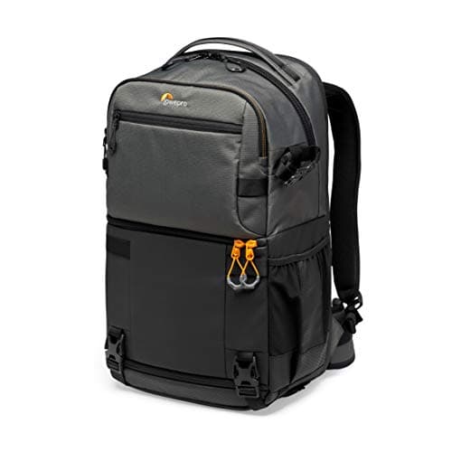 Lowepro LP37331-PWW Fastpack Pro BP 250 AW III (imagen de Amazon)