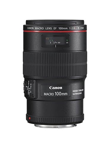 Canon EF 100mm f/ 2.8L Macro IS USM (imagen de Amazon)