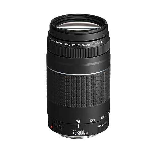 Canon 75-300 mm f/4-5.6 III (imagen de Amazon)